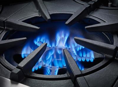 24" Blue Star Platinum Series Gas Rangetop in Natural Gas - BSPRT244B