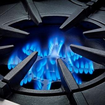 24" Blue Star Platinum Series Gas Range - BSP244B