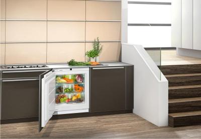 24" Liebherr Integrable built-in fridge with BioFresh - UB501