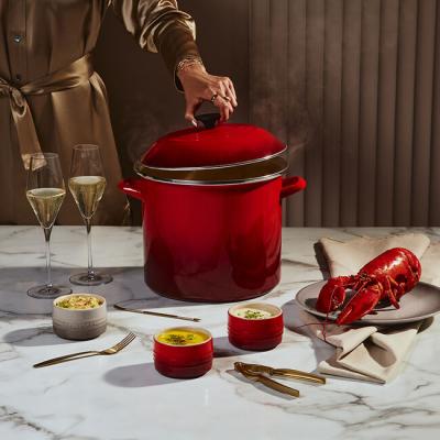 Le Creuset Enamel on Steel 11.4L Capacity Stockpot - CA-56000974060011