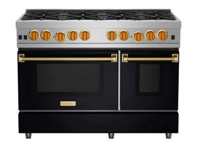 48" Blue Star Culinary Series (RCS) Sealed Burner Gas Range in Natural Gas - RCS48SBV2