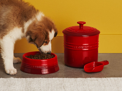 Le Creuset Pet Bowl in Shell Pink - CA-71401145777001